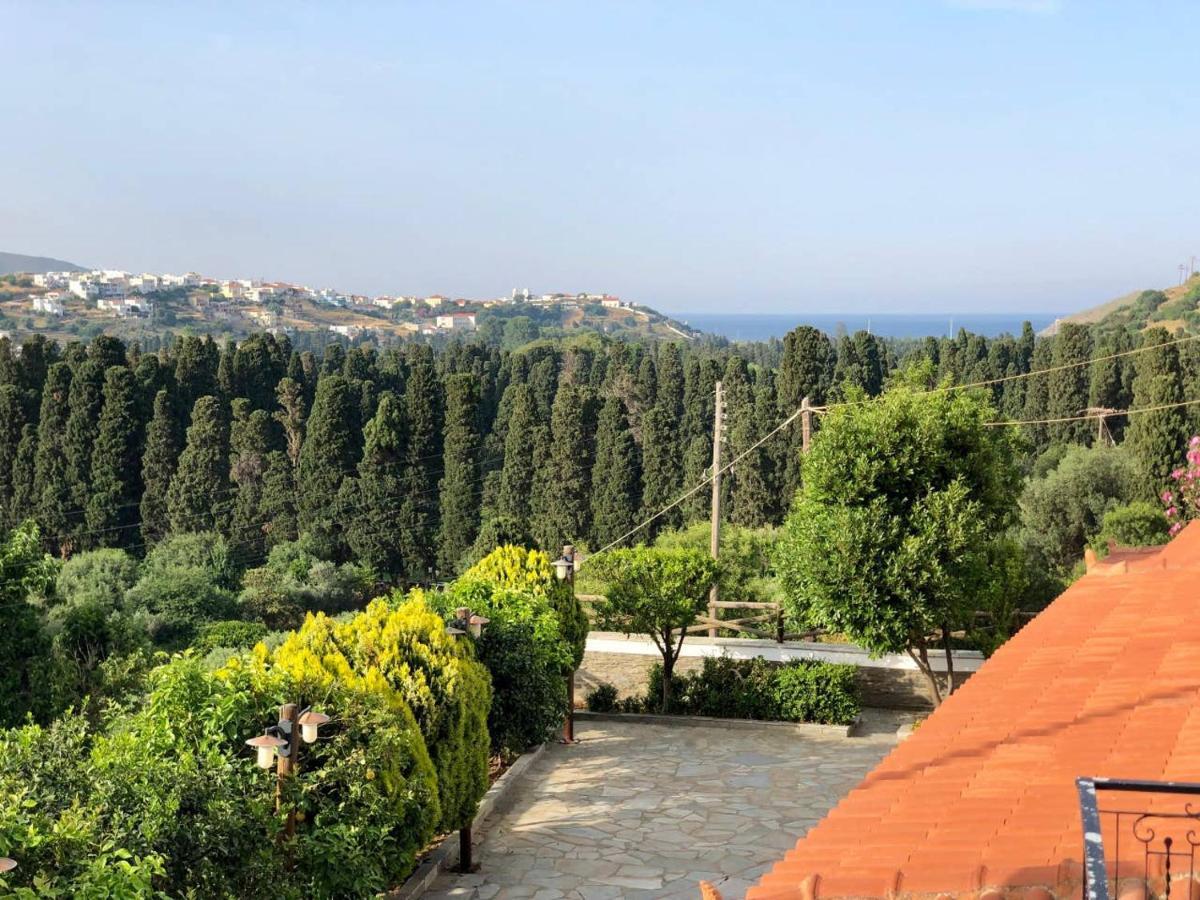 Villa Andros Epoque Livadia  Экстерьер фото