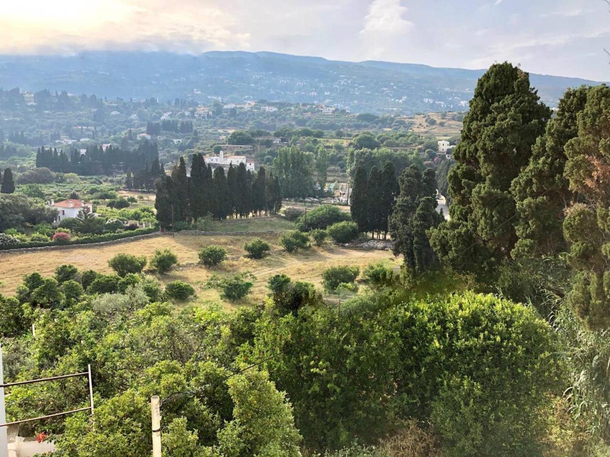Villa Andros Epoque Livadia  Экстерьер фото