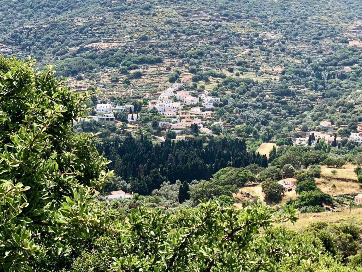 Villa Andros Epoque Livadia  Экстерьер фото