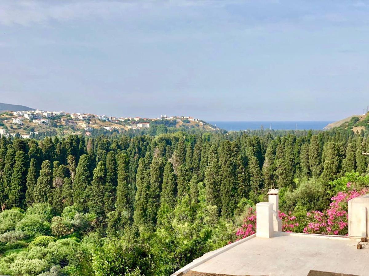 Villa Andros Epoque Livadia  Экстерьер фото